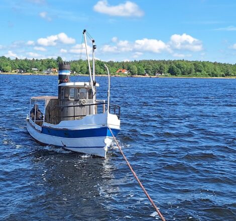 Baltic Boy (holownik)