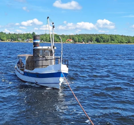 Baltic Boy (holownik)